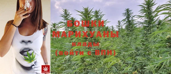mdma Новодвинск