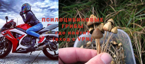 PSILOCYBIN Верхний Тагил