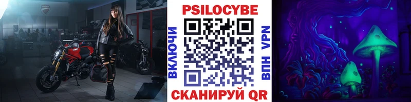 закладки  Калязин  это клад  Галлюциногенные грибы Psilocybe 